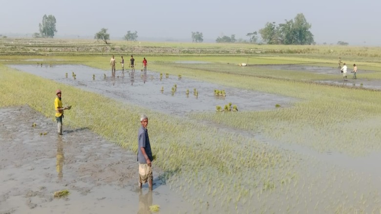 প্রচন্ড শীতের মাঝেও চলছে বুরো চাষ।...