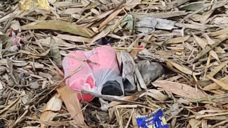 চুয়াডাঙ্গার দর্শনায় ফের ৭টি বোমার সন্ধান, উদ্ধার...