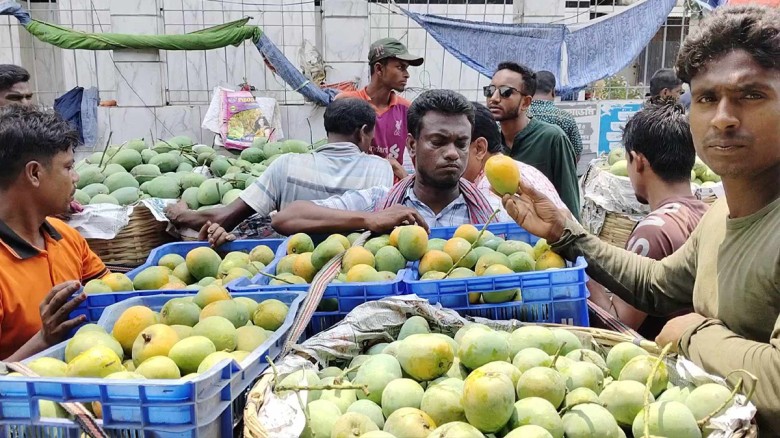প্রশাসনের জরুরি সভায় সাতক্ষীরার হিমসাগর আম ক্যালেন...