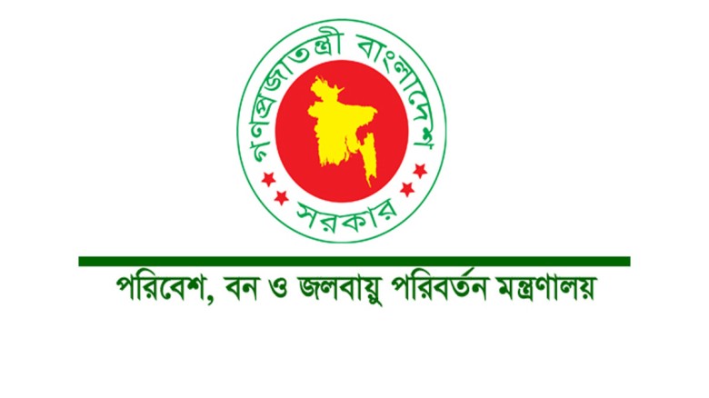 ইউক্যালিপটাস ও আকাশমনির চারা রোপণ নিষিদ্ধ করলো সরক...