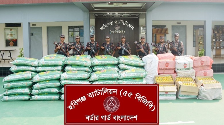 মাধবপুরে বিজিবির অভিযানে ভারতীয় জিরা ও পার্সিমন ফল...