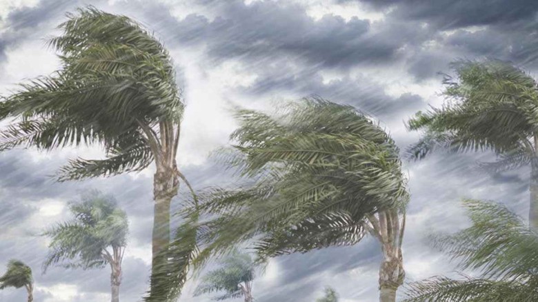 ১০ জেলায় ৬০ কিমি বেগে ঝড়ের শঙ্কা...