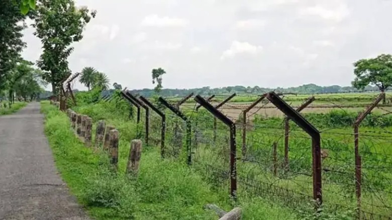 মহেশপুর সীমান্তে ৯ বাংলাদেশিকে ফেরত পাঠালো বিএসএফ...