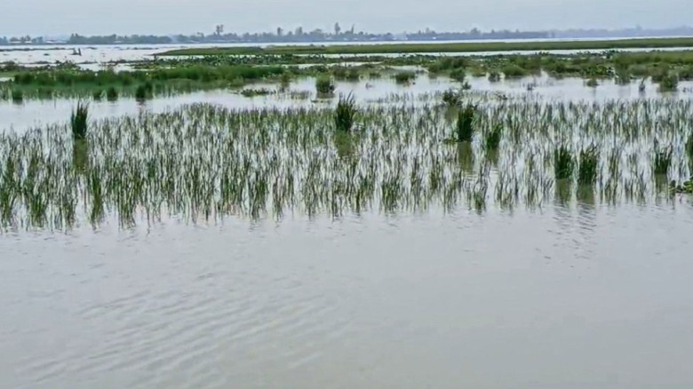 কু‌ড়িগ্রা‌মে বেড়েছে নদ-নদীর পা‌নি