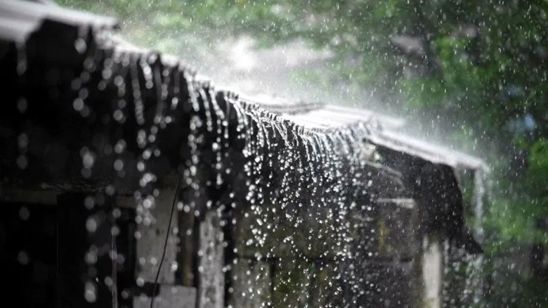 ভারী বৃষ্টি নিয়ে ৩ বিভাগে ৪৮ ঘণ্টার সতর্কতা...