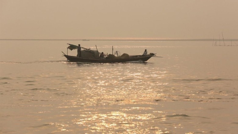 জাটকা শিকারে নিষেধাজ্ঞা কার্যকর আজ থেকে...