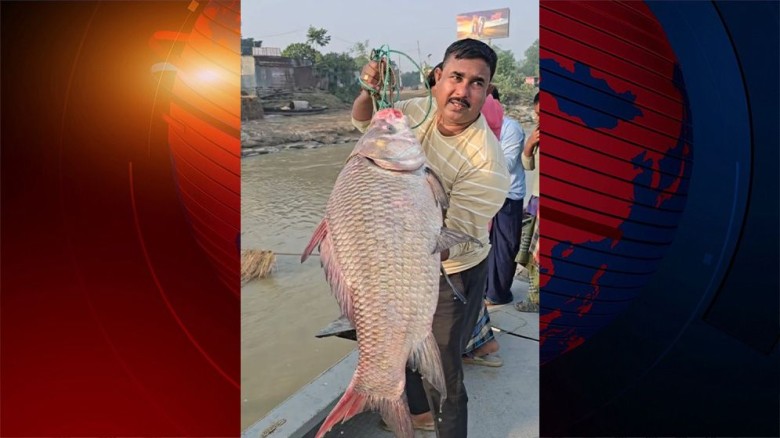 দৌলত‌দিয়ায় ১৯ কেজির কাত‌ল ৫২ হাজারে বিক্রি...