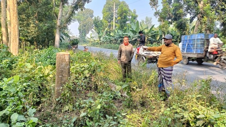 মহেশপুরে সড়কে গাছ ফেলে ডাকাতি...