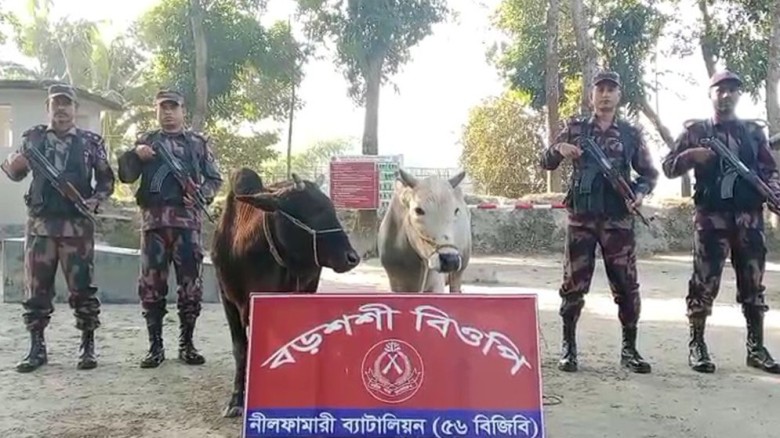 পঞ্চগড় সীমান্ত এলাকায় চোরাচালানবিরোধী অভিযানে ৫৬ বর্ডার গার্ড বাংলাদেশ (বিজিবি) ২ লাখ ৯০ হাজার টাকা মূল্যের তিনটি ভারতীয় গরু আটক করেছে।
