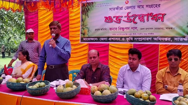 সাতক্ষীরায় আজ থেকে শুরু আম সংগ্রহ কার্যক্রম...