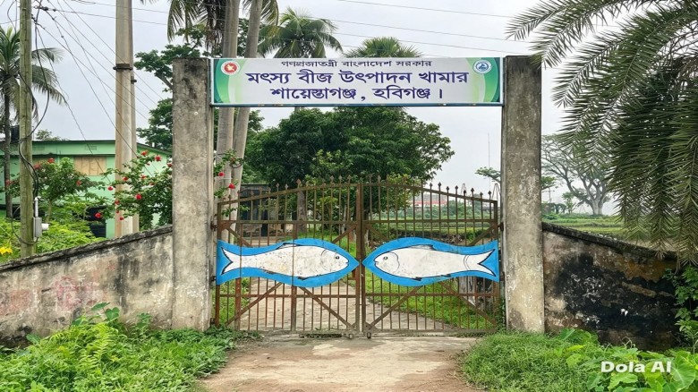 শিল্পায়ন ও ছয় লেনের সড়কের চাপে শায়েস্তাগঞ্জ মৎস্য খামার
